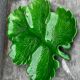 Green Ceramic Hors d'Oeuvres Dish in Leaf Shape, Art Deco Period
