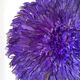 Juju hat violet de 90 cm