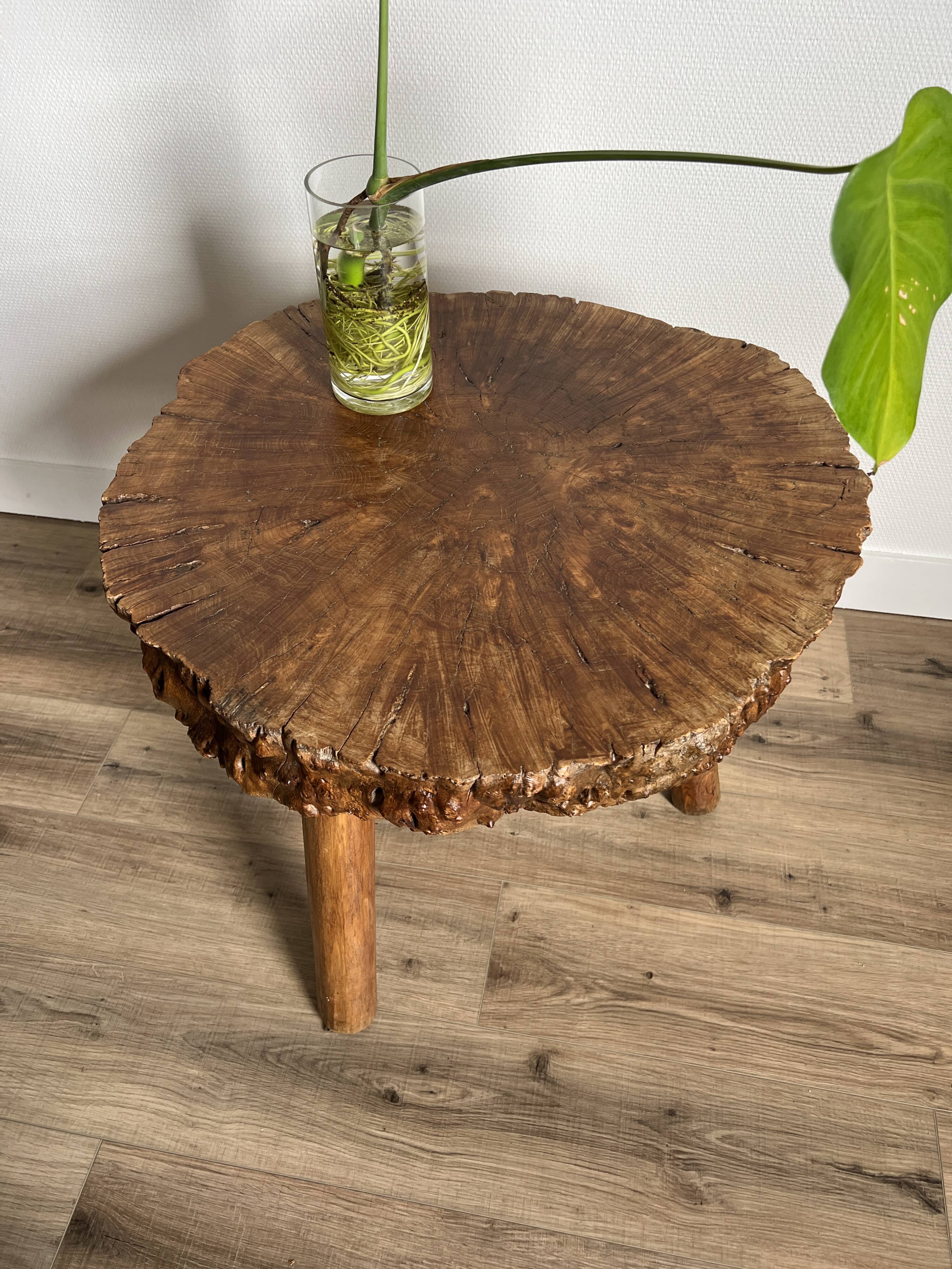 Brutalist tripod coffee table in elm burl, 1950.