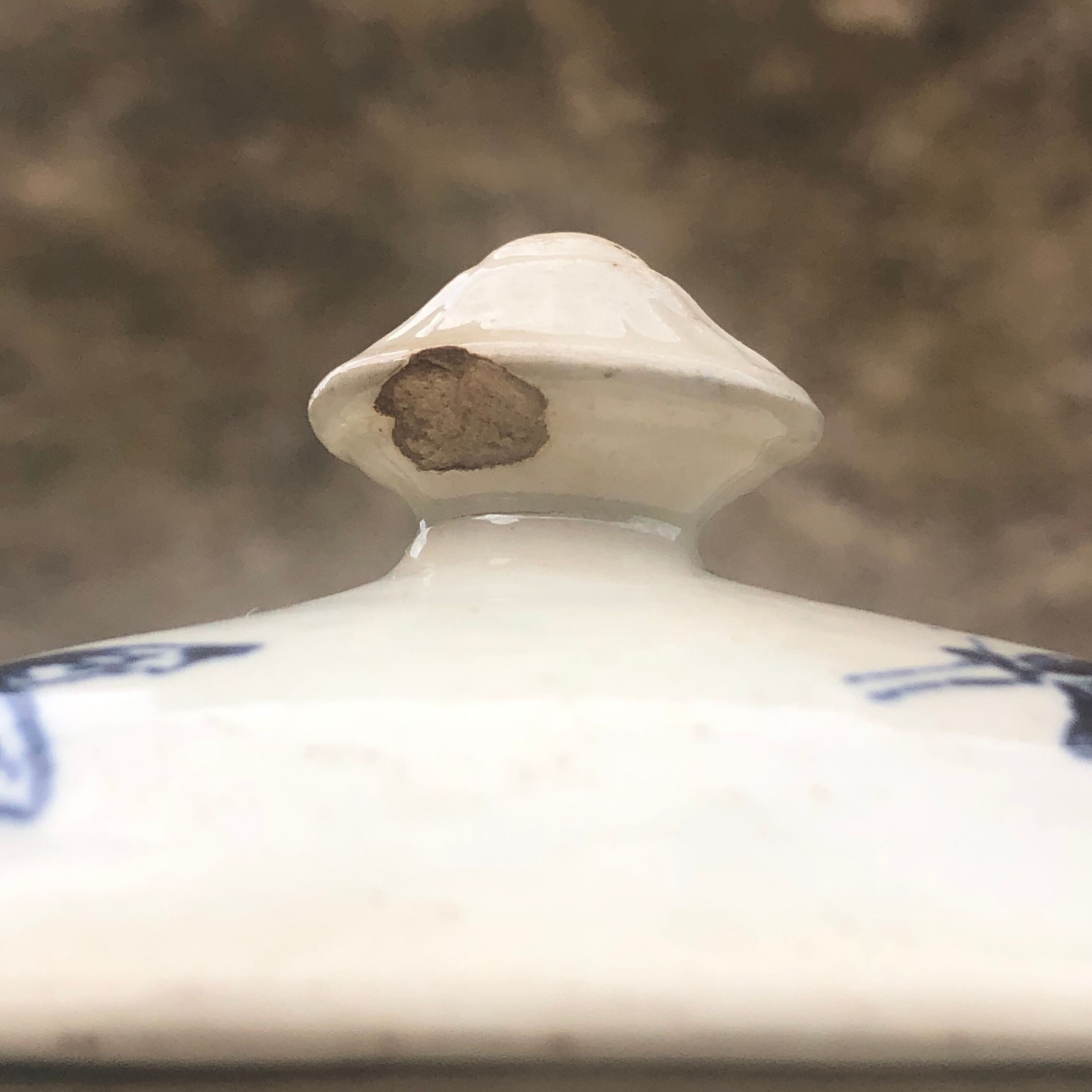 Safe mustard tree sleeping earthenware