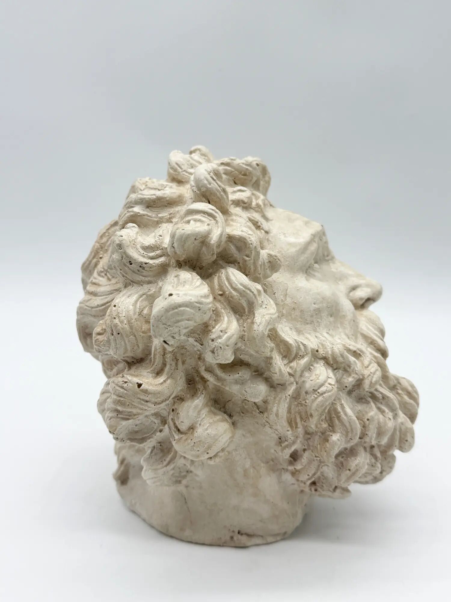 "Head of Laocoön" in plaster, contemporary reproduction, 20th century