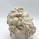 "Head of Laocoön" in plaster, contemporary reproduction, 20th century