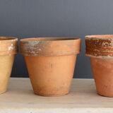 5 old terracotta pots 10 cm