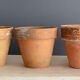5 old terracotta pots 10 cm