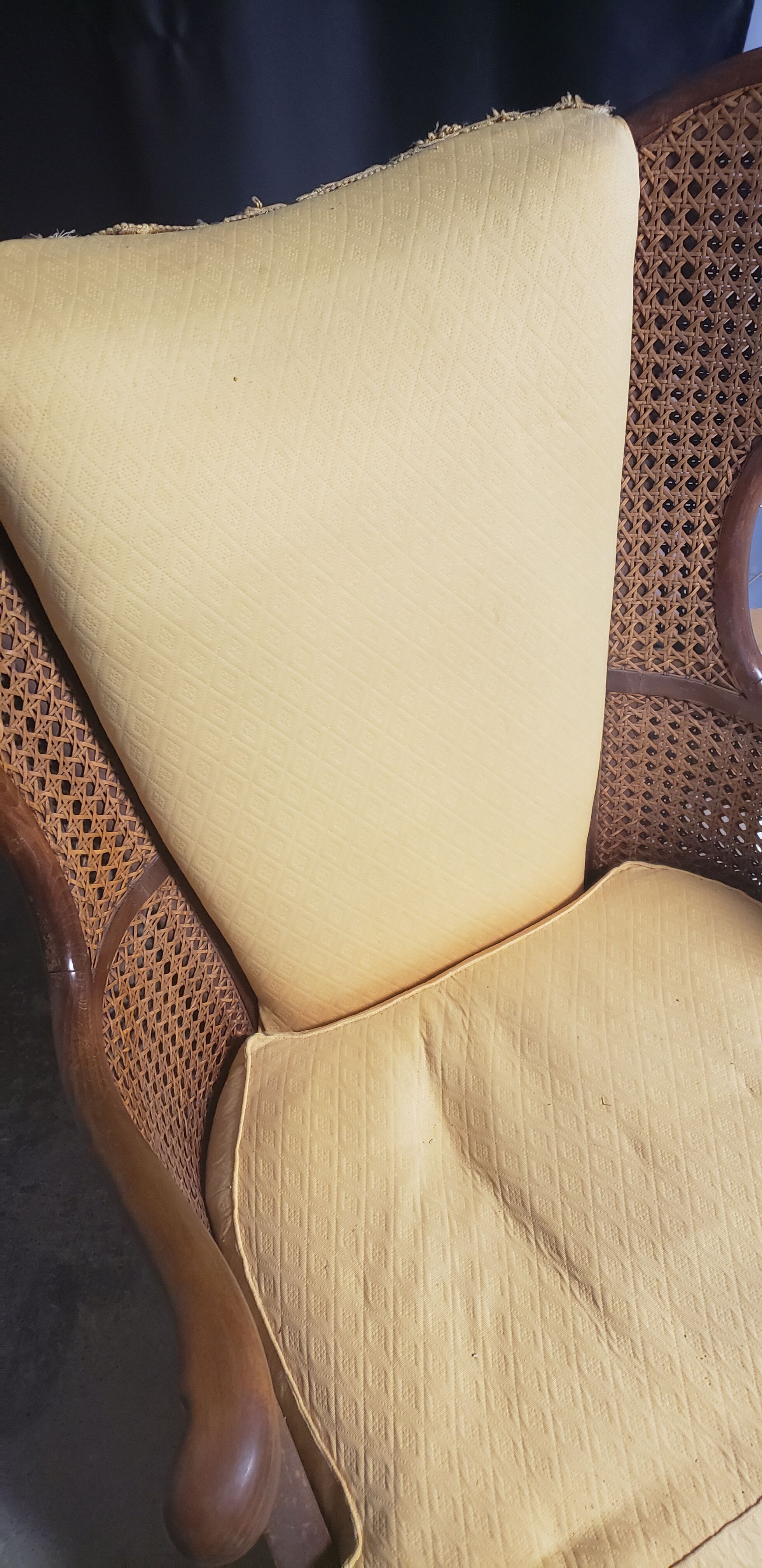 Canine and fabric armchair