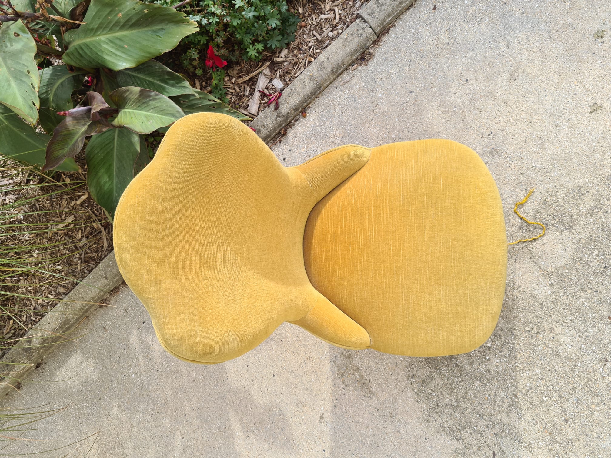 Yellow toad armchair with fringes