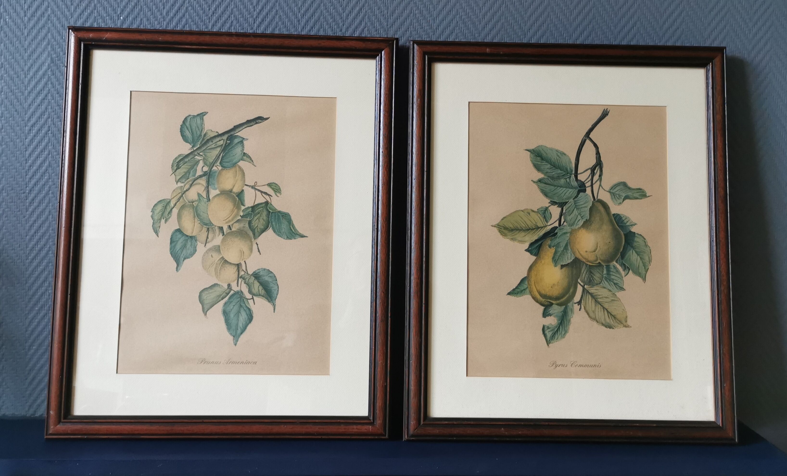 2 tableaux reproduction poires et prunes