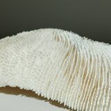 White Coral Fungia 24 cm