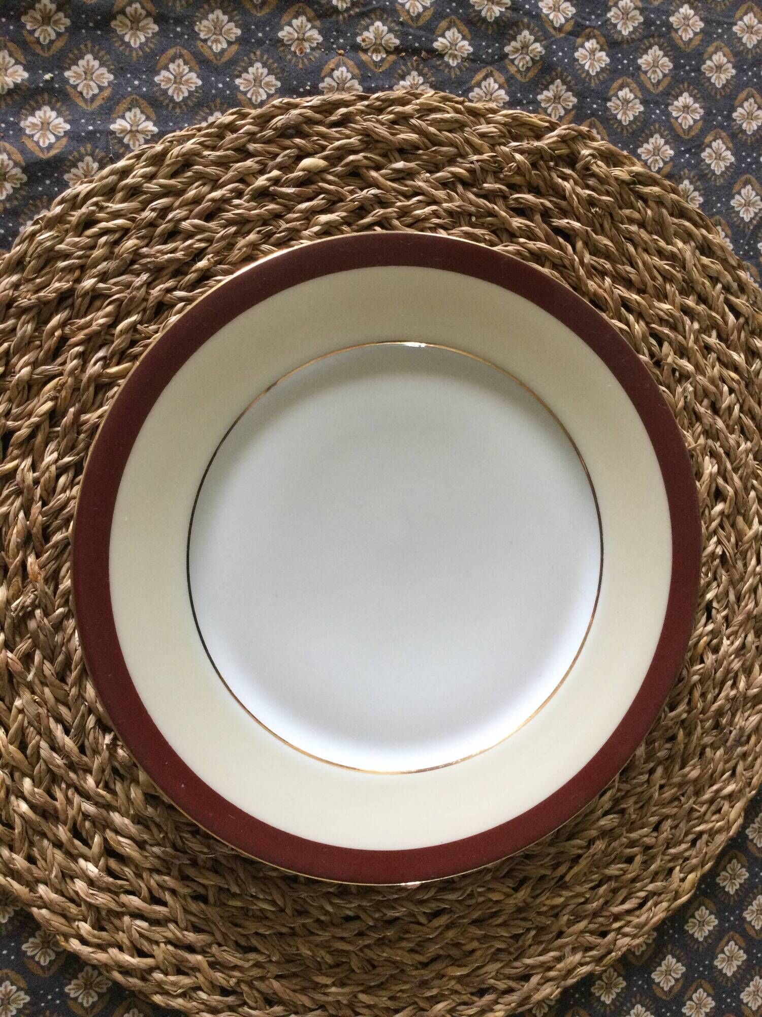Set of 13 antique Limoges porcelain plates