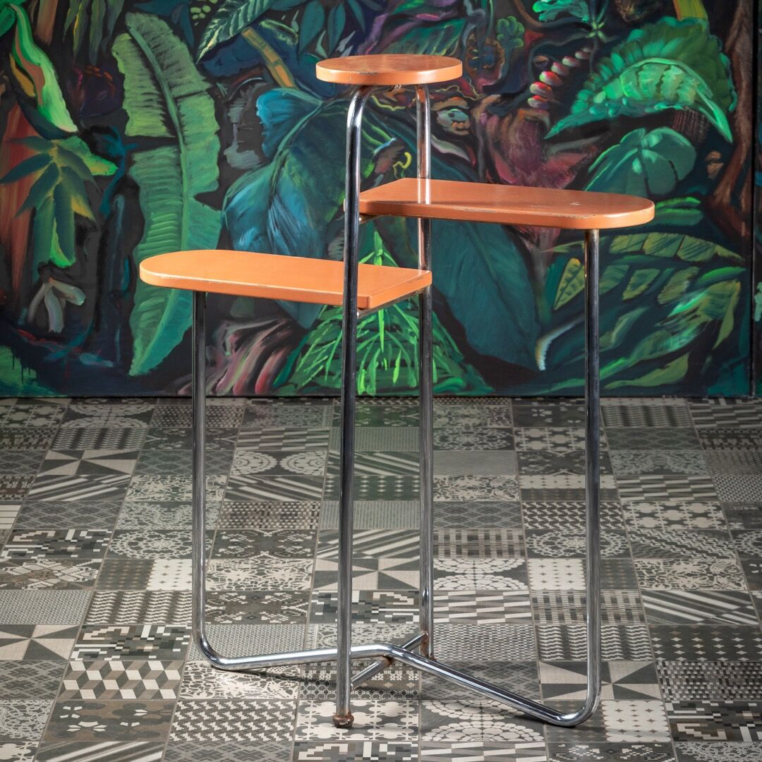 Original funkcionalism flower table model no. 1069, Vichr a spol. Prague 30ies