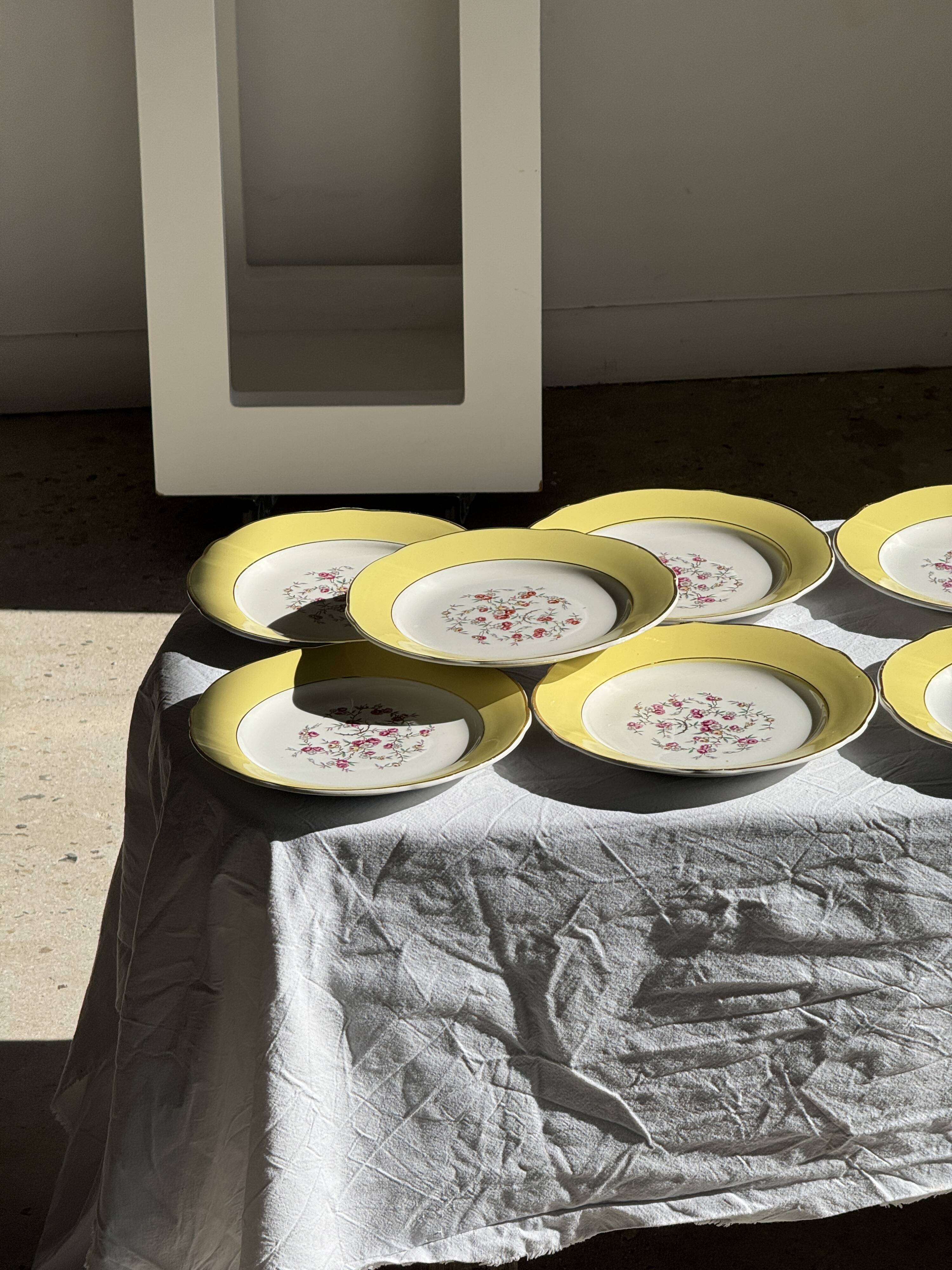 Lot de 19 grandes assiettes plates vintage jaunes fleurs roses liseré doré