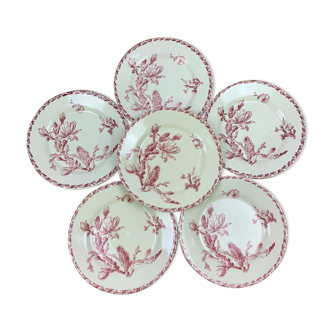 Set of 6 dinner plates models Cactus de Gien