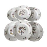 Set of 6 plates Sarreguemines condé model
