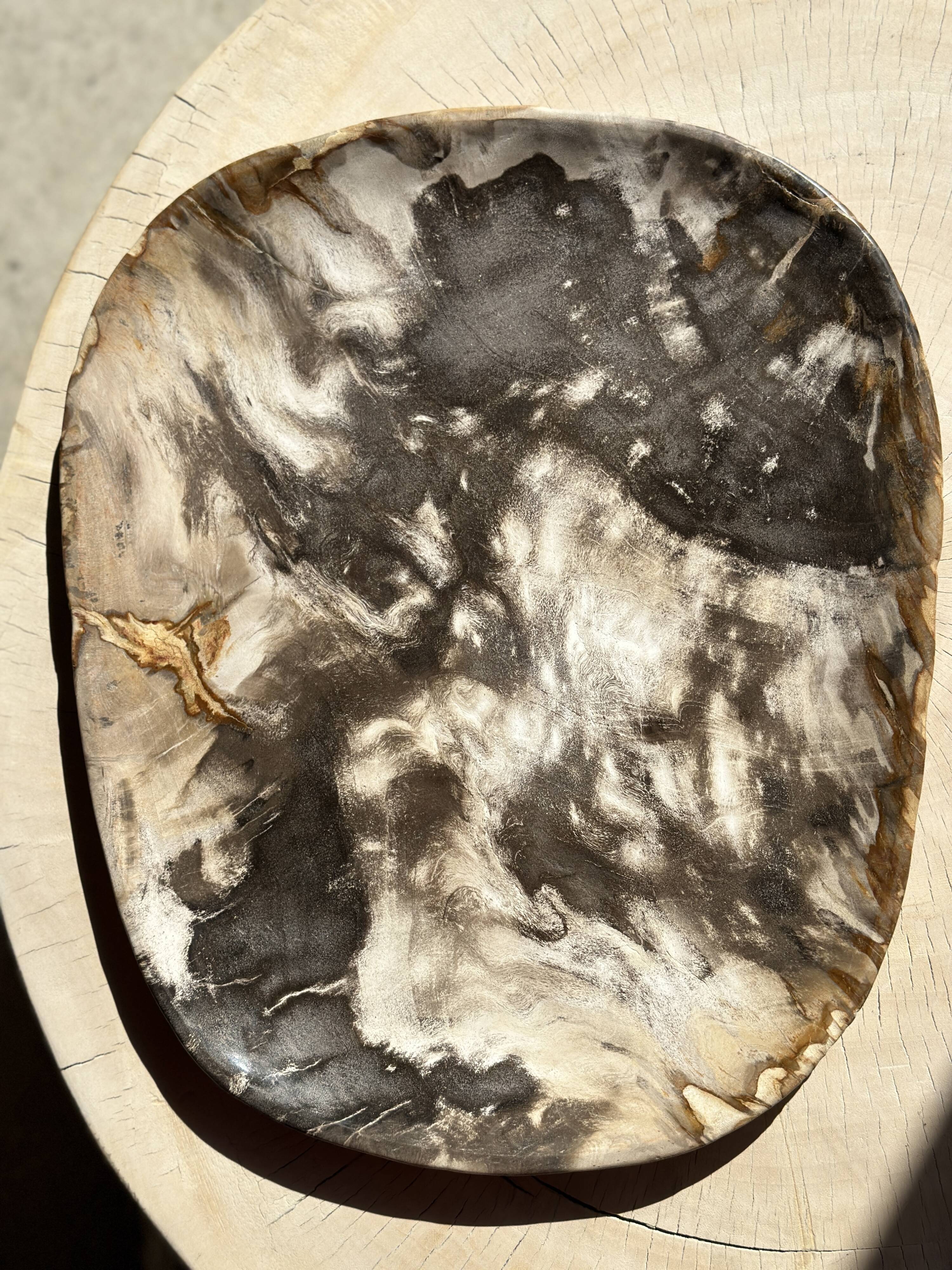 Very large pocket or dish in petrified wood