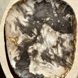 Very large pocket or dish in petrified wood