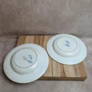 Set of 2 deep plates in ironstone Jules Vieillard Bordeaux – Rouen