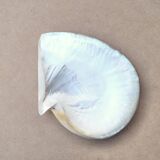 Natural pearl oyster mother-of-pearl pocket emptier, 1970s