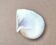 Natural pearl oyster mother-of-pearl pocket emptier, 1970s