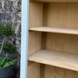 Antique celadon glass Parisian wardrobe H162