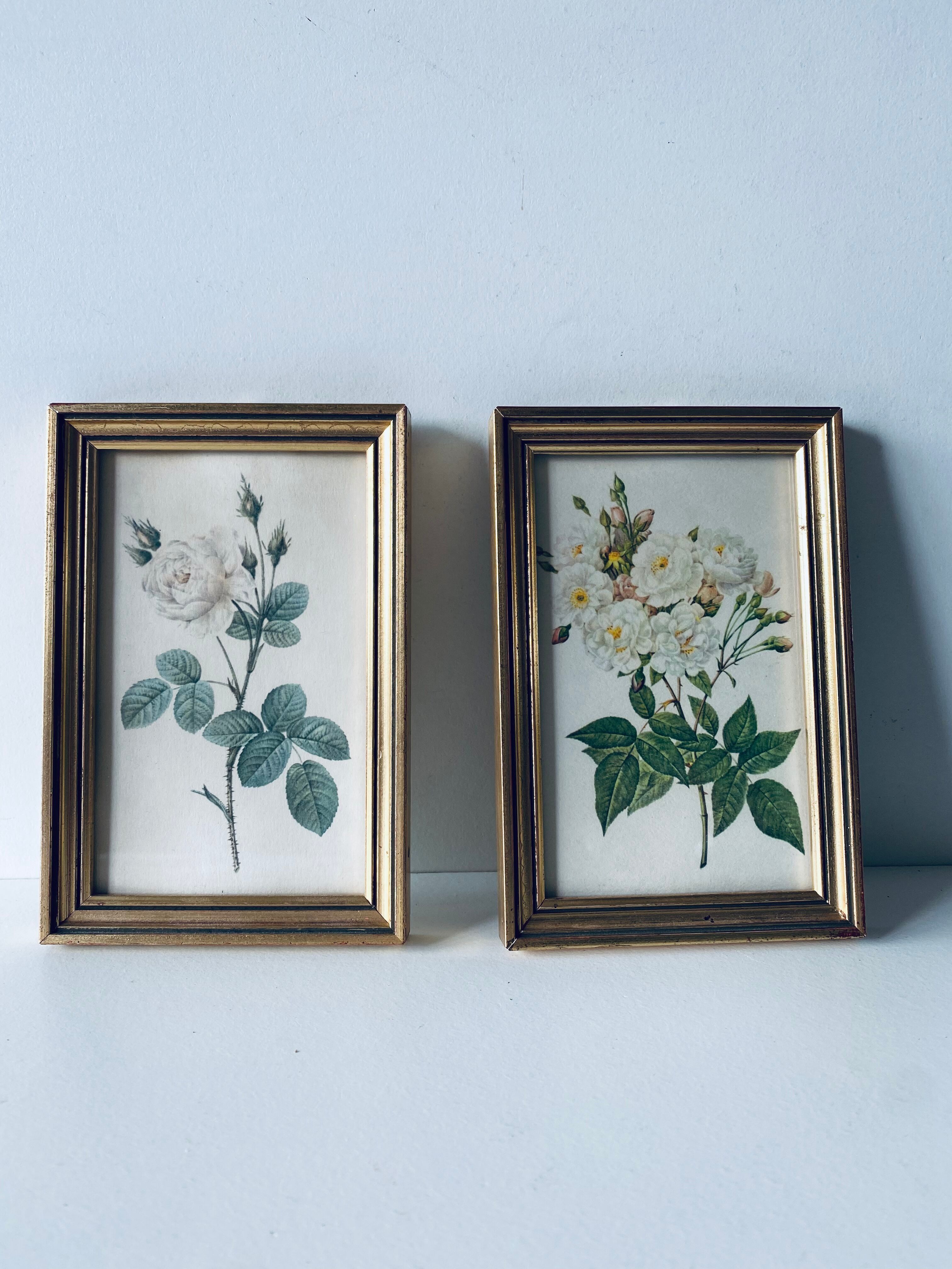 Duo of framed lithographs