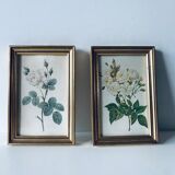 Duo of framed lithographs