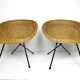 Rattan armchairs 1950