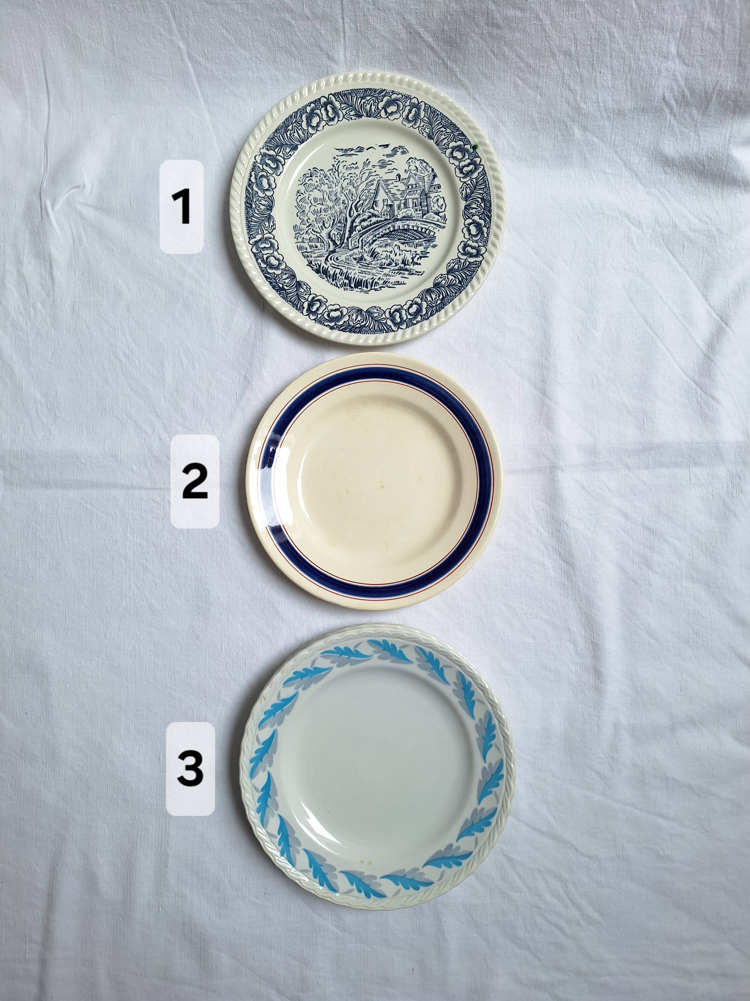 Blue vintage dinner plates