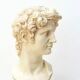 Bust of David by Michelangelo 1950s