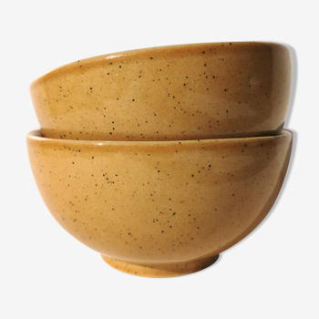 Vintage bowls in glazed stoneware
