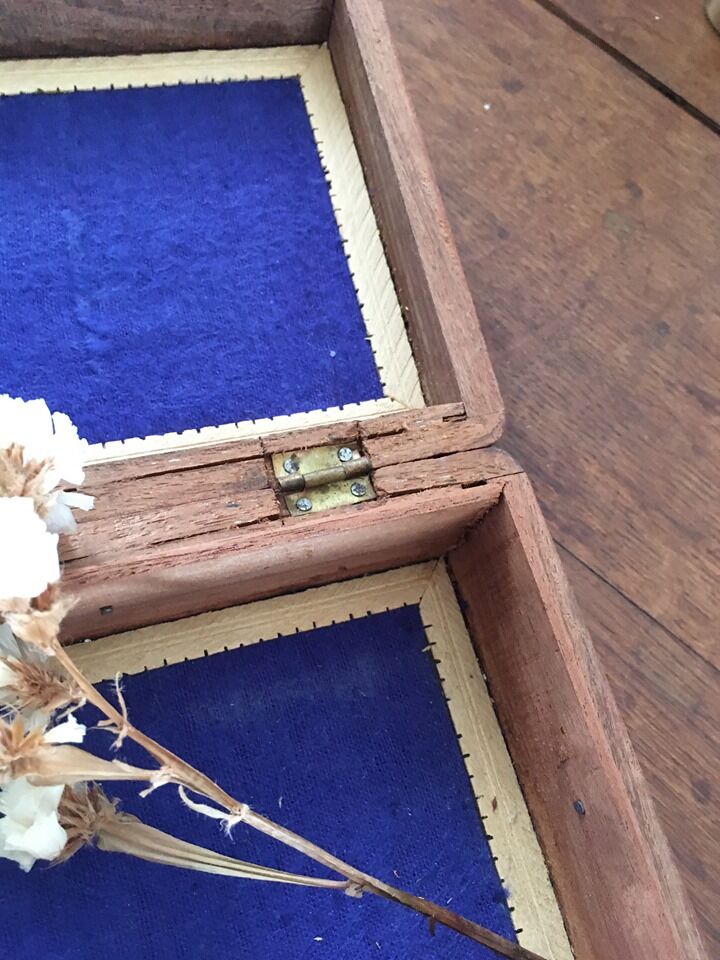 Indian carved wooden box