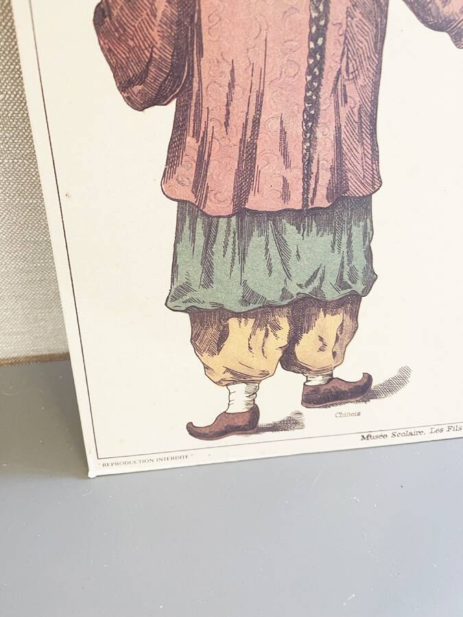 Old educational poster Deyrolle "Tea"