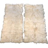 Goat skins