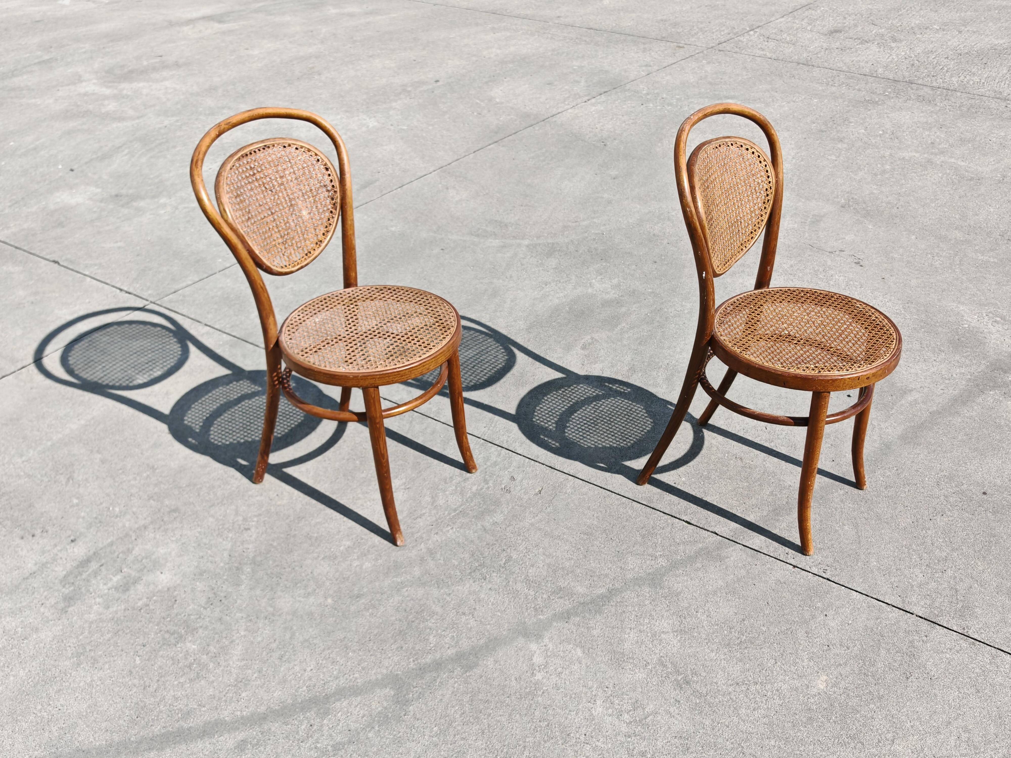 Paire de chaises en cannage et bois courbé par Mundus