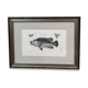 Fish engraving