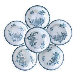 Assiettes anciennes terre - fer