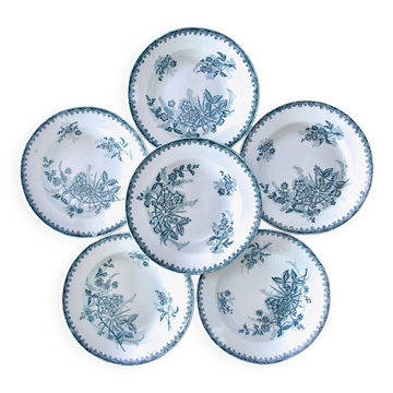Assiettes anciennes terre de fer St Amand collection "Margot"