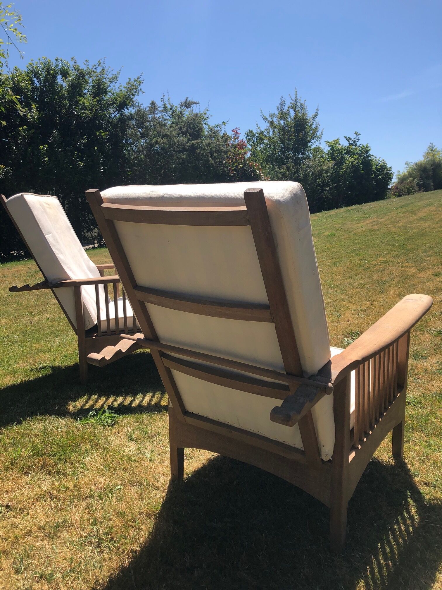 Pair of chairs called "Maurice"