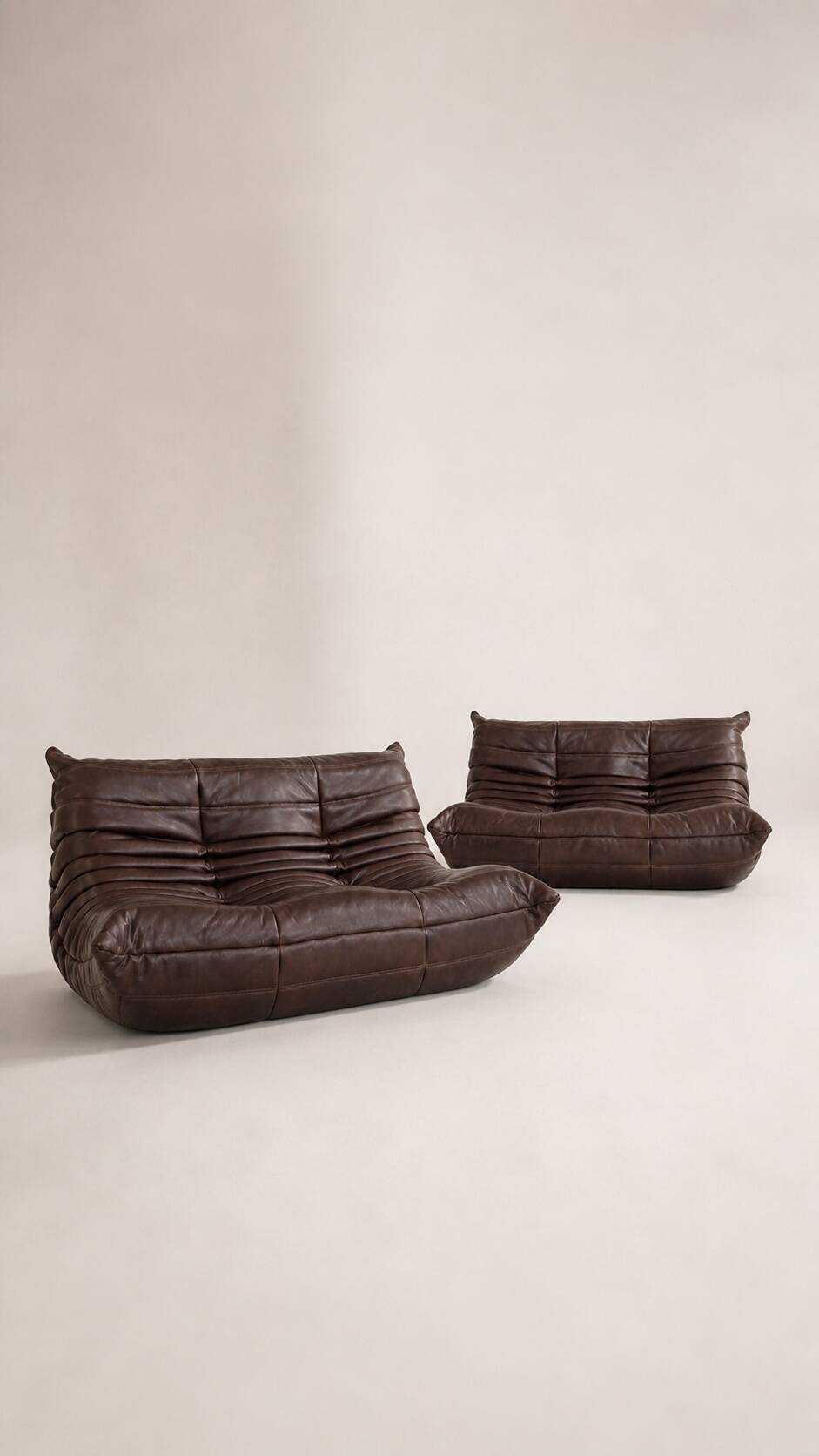Set 2 canapés 2 places  michel ducaroy / ligne roset cuir marron