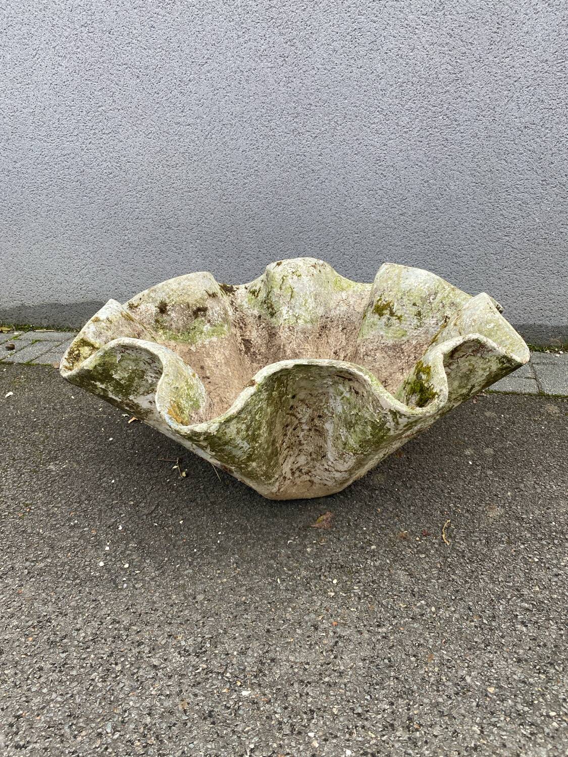 Biomorphic planter by Willy Guhl, 1960