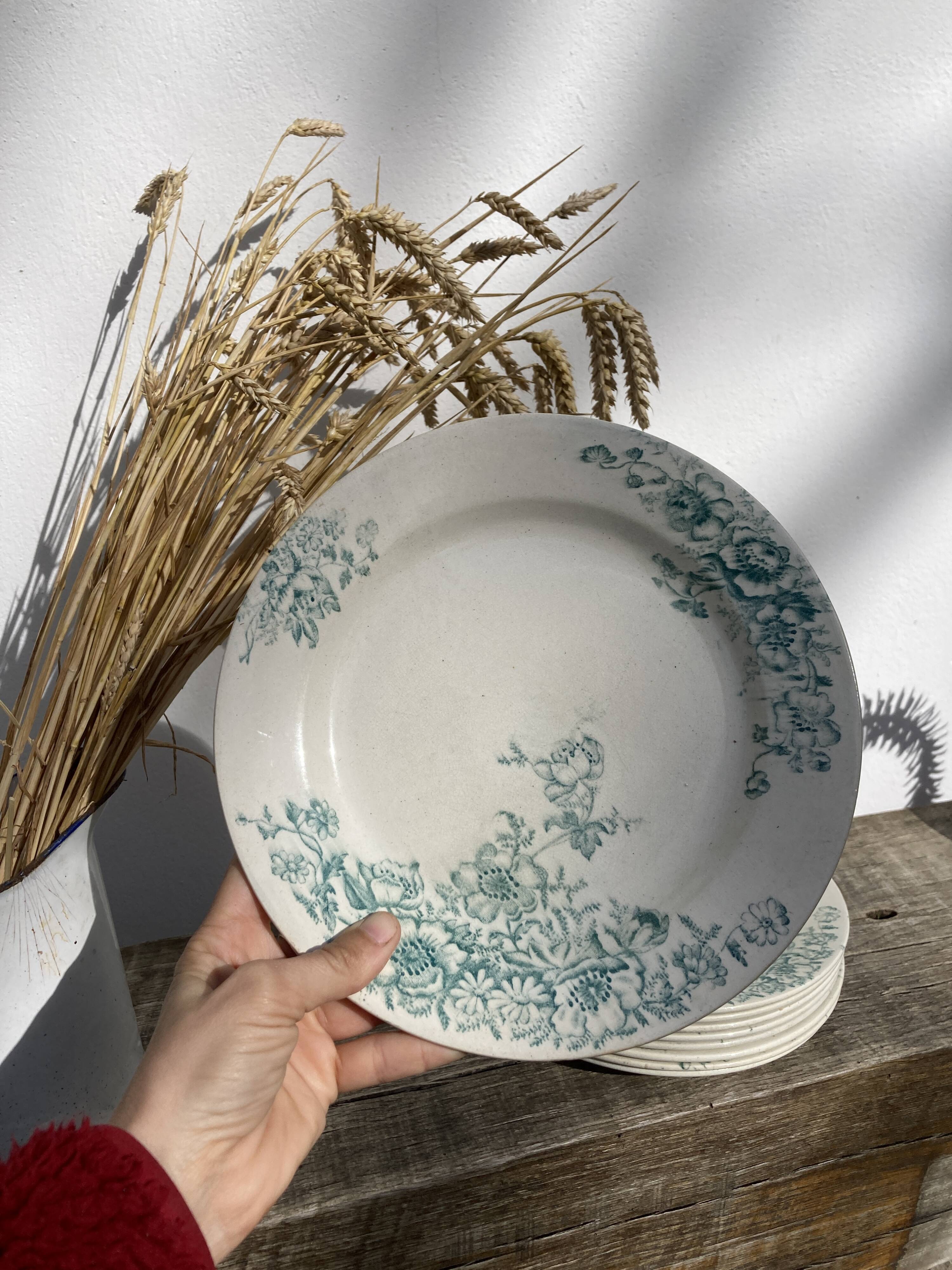 8 Terre de fer plates Anémones Bertrand Bordeaux old in green ceramic decorated with flowers