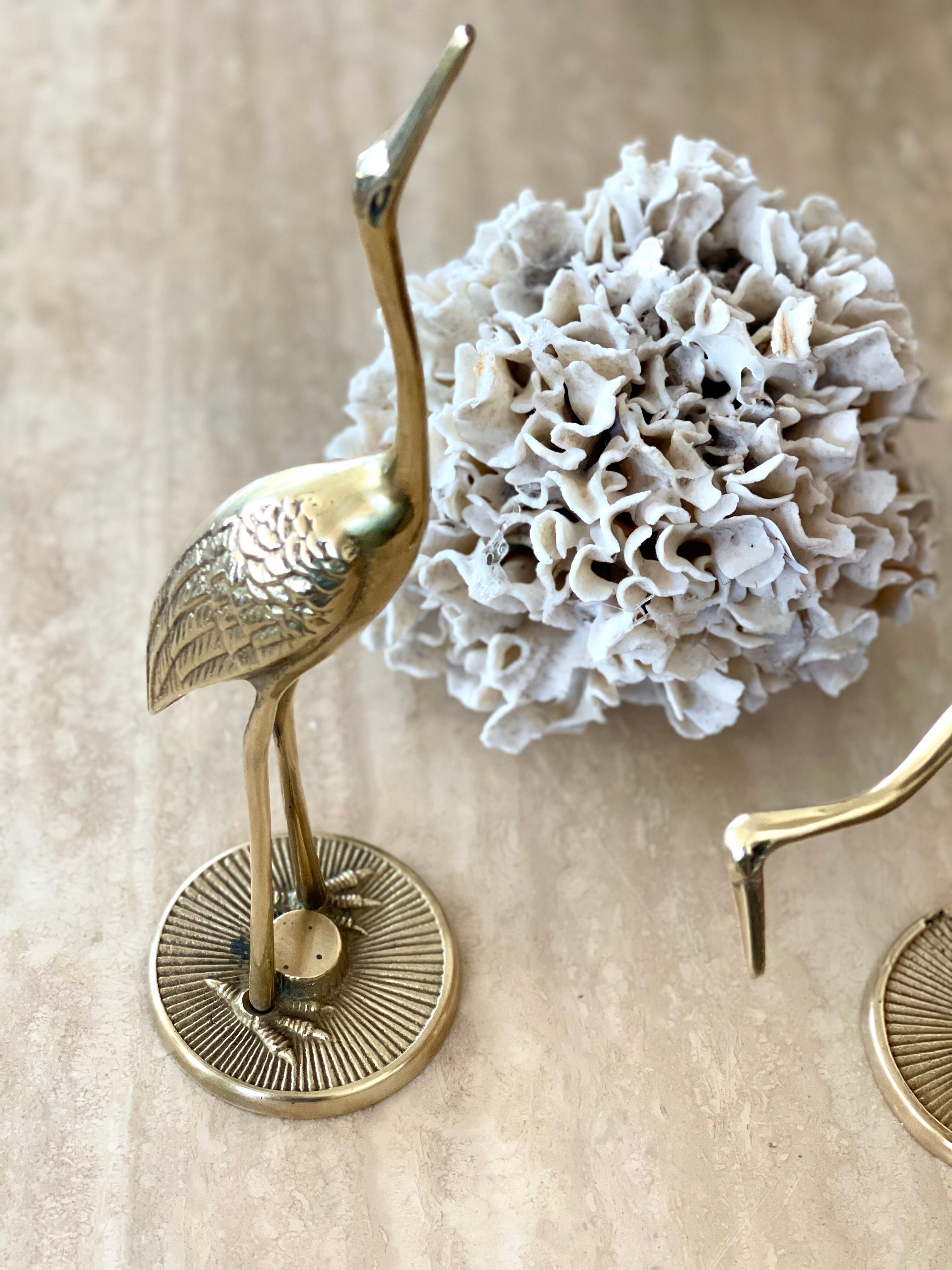 Brass Heron Duo 1970