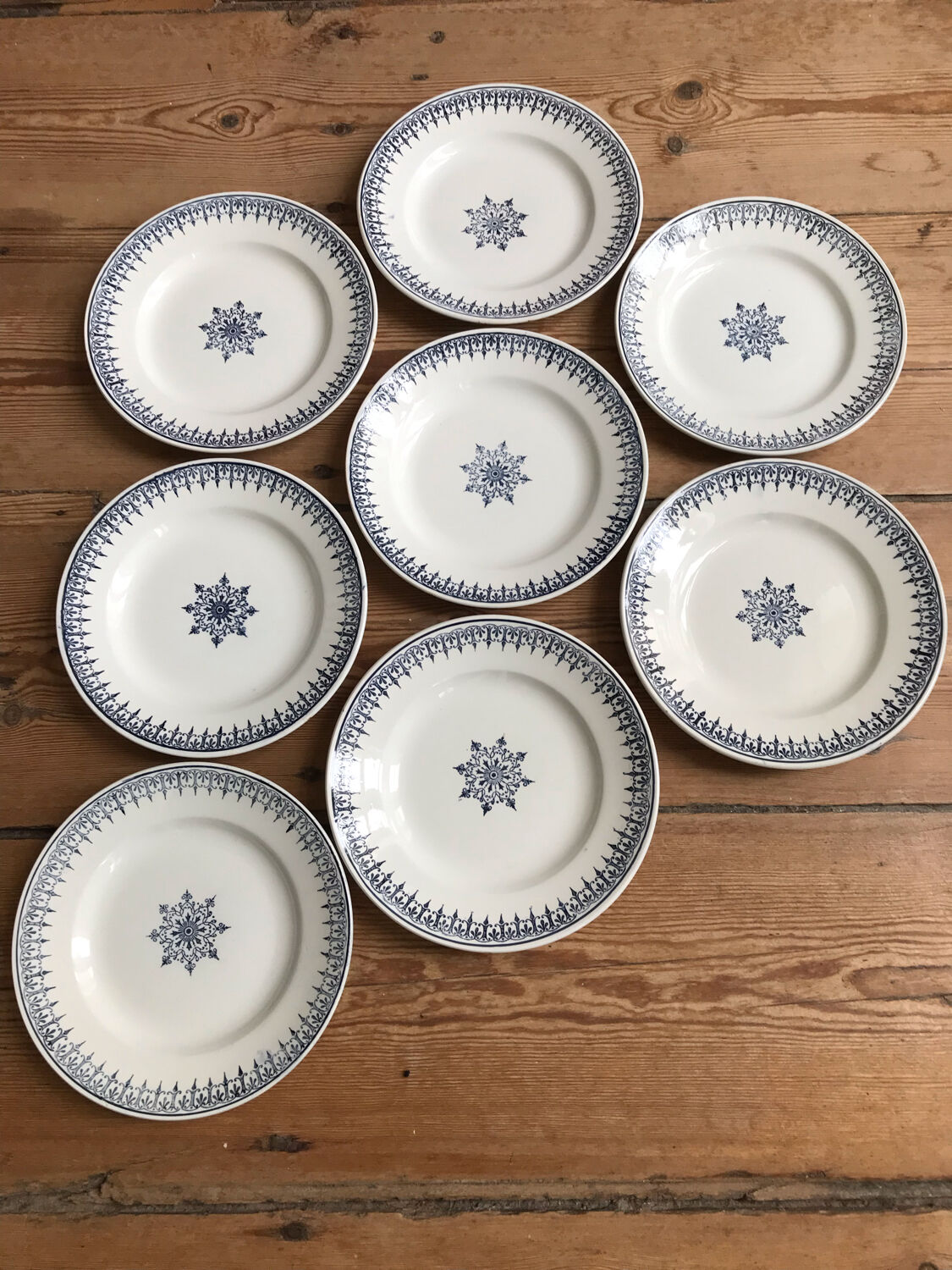 Series of 8 flat plates "PRIMAX"
