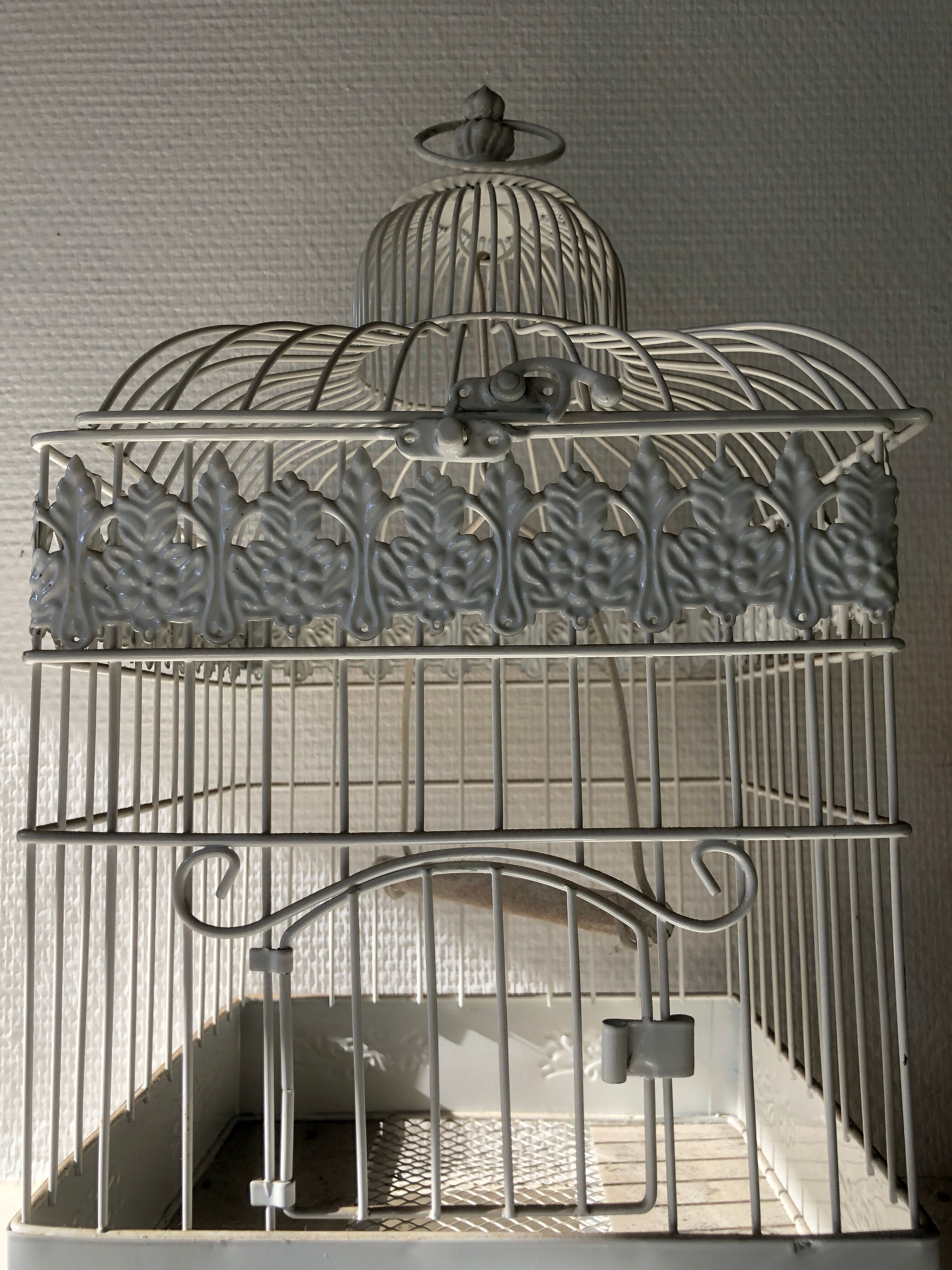 White patinated iron birdcage