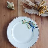 Longwy flat plate, Bird