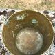 Persian Brass Champagne Bucket, Hand Engraved Ram Head Handles