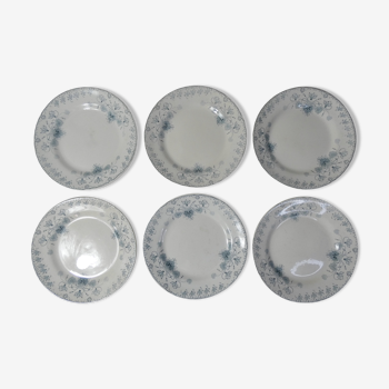 Terre de fer 6 assiettes plates cyclamen