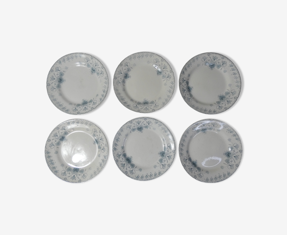 Terre de fer 6 assiettes plates cyclamen