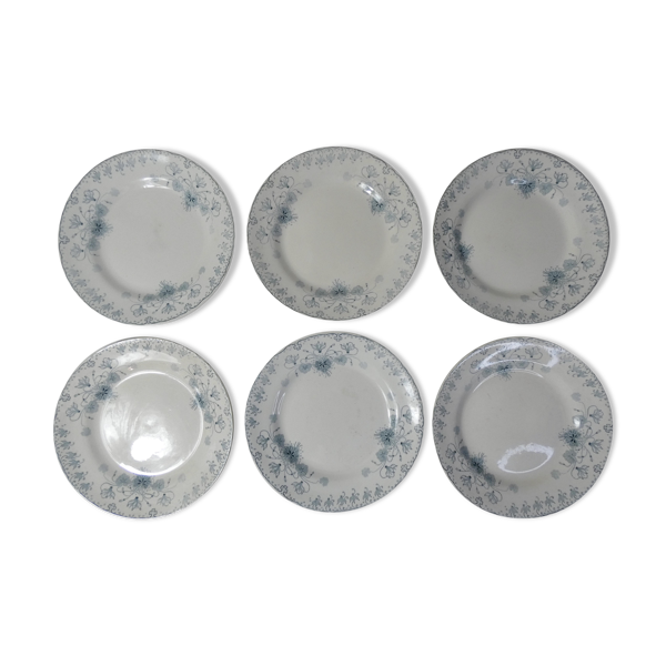 Terre de fer 6 assiettes plates cyclamen