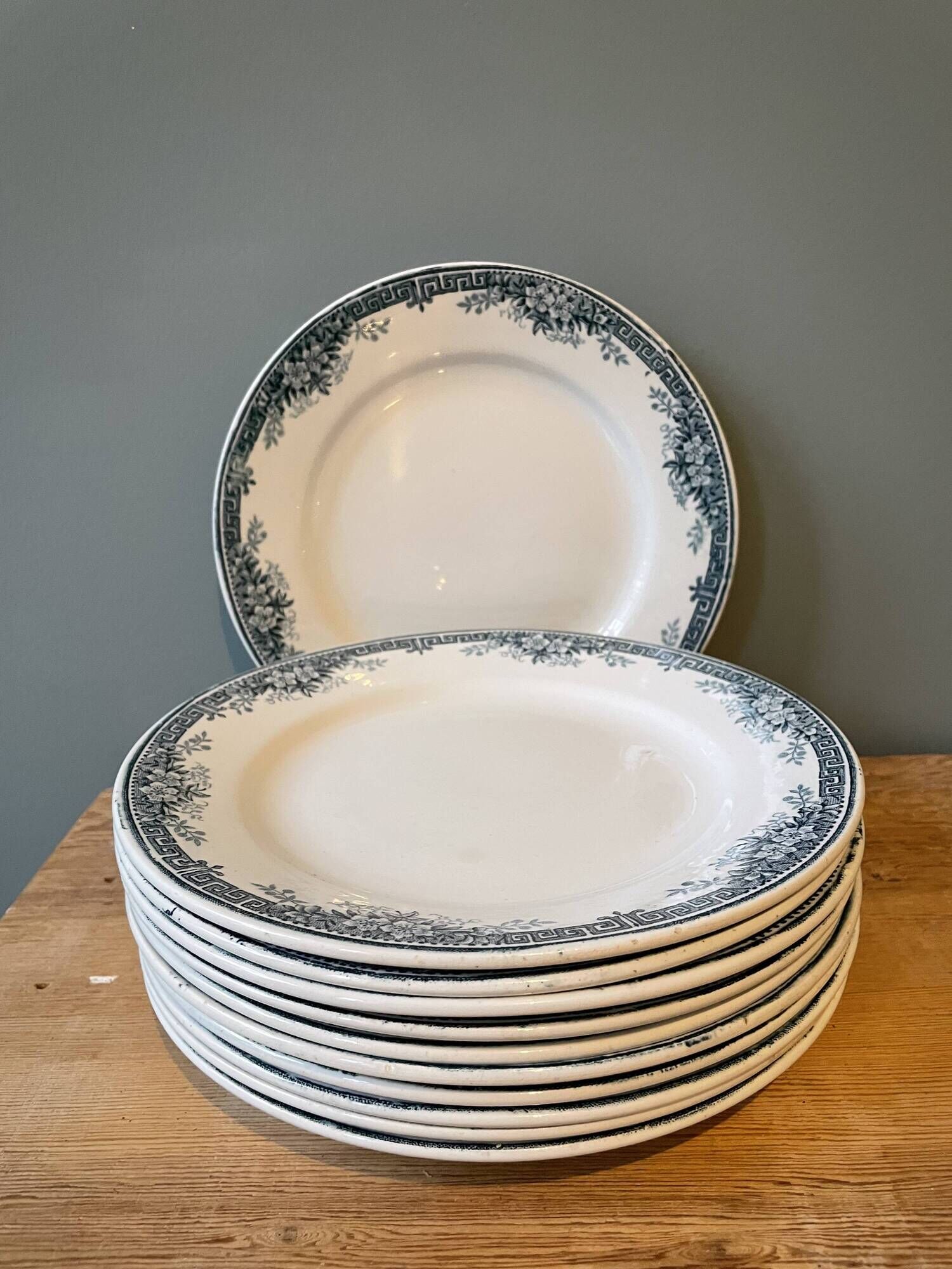 Set of 11 flat plates Terre de Fer in Earthenware of St Amand, model Lucy