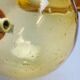 Portuguese Orange Wood & Amber Seeded Glass Table Lamp